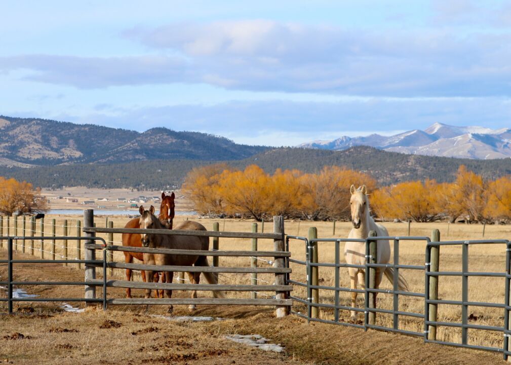 #41. Meagher County, Montana